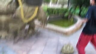 Laughing full funny video popular
