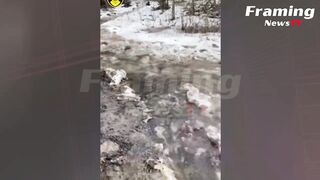 Tentara Ukraina yang Bertugas di Parit Berisi Air Berada di bawah Tembakan Artileri