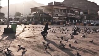 اقوال زریں