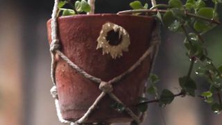 raining video