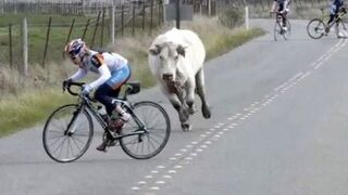 Sun's Out, FAILS Out!! ☀️ Best SUMMER FAILS ???? Funny Videos | AFV 2023