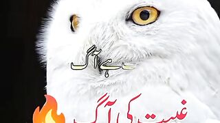 غیبت کے آگ