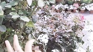 Beautiful nature