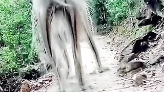 ALLAH KI qudrat