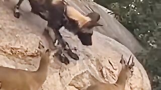 Jisy ALLAH pak bachay usy koi kuch nhe kr sakta