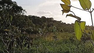 Lindo pôr do sol
