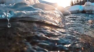 Alaska is a place of great beauty, delight, and incredible sights.
