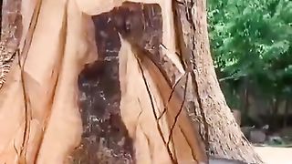 Beautiful Wooden Art work ❤️