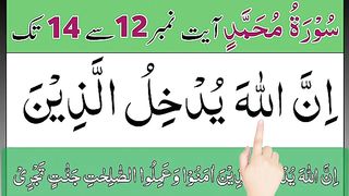Learn To Read Surah Muhammad Ayat No 12 To 14 _ surah muhammad _ surah muhammad ki tilawat.
