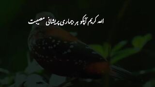 Good morning status beautiful morning