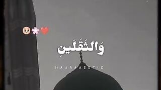 Recite 241