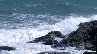 sea ​​monsters