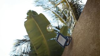 Likkle Addi - Popular