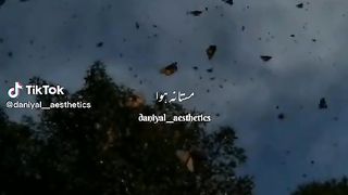 Feel_this_song_plz_and_comment