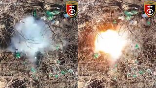Ukrainian Ground Forces drop grenades in Russian trenches with weaponized drones