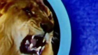 WB Tom and Jerry|| Tom and Jerry Kids Video ||Tom & Jerry || Tom & Jerry in classic cartoon#wbkids