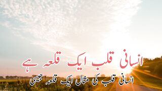 Insani qalab aek qila he(انسانی قلب ایک قلعہ ہے)