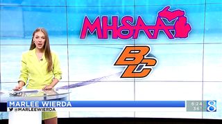 MHSAA Hockey Championships