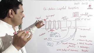 G Protein Coupled Receptors