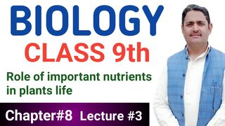 Role of Nutrients in Plant