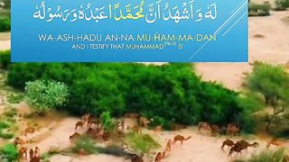Mashallah very nice