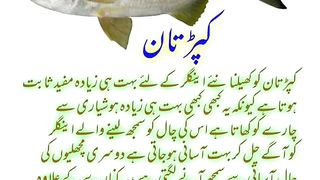 FISH NAME IN URDU AND ENGLISH  in Pakistan