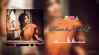 Aks-e-Khushbu Hun Bikharne Se Na Roke Koi | Parveen Shakir | Best Sad Poetry | Naqvi Voice