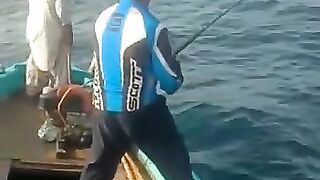 Great strick of king mackerel