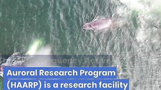 HAARP - Artificial Earthquake Technology