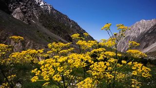 Secret Valley In Chitral That No One Will Tell You About It Golain Valley