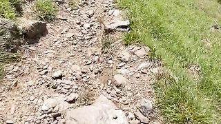 Walking