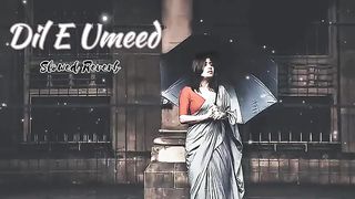 Dil E Umeed Tora Hai Kisi Ne (Slow Reverb)