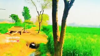 Village