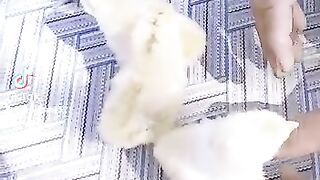 Tiktok my vedio please Review my post