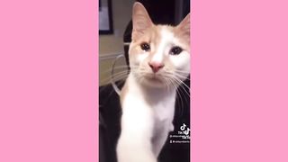 Fun video