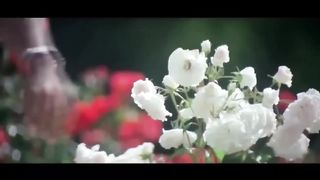 Dil Ne Ye Kaha Hai Dil Se _ Full HD Video Song _ Dhadkan