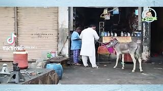 Pranks video