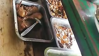 Makanan menggugah selera
