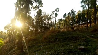 Butiful view of nature's