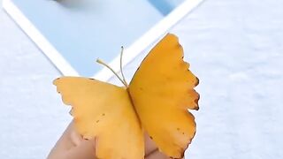 Butter fly from pepapwr creative juction