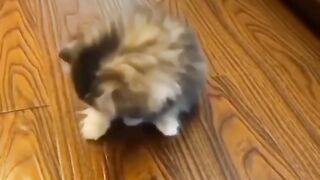 Милота 5