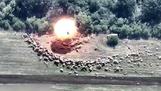 This Russian counter battery “Zoopark-1” has been destroyed by precise Ukrainian artillery