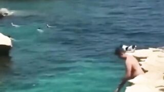 Never anger dogs and cats.  Video 2023