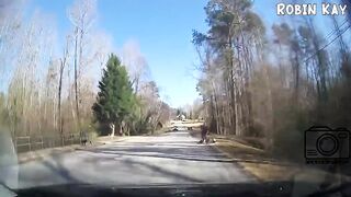 COMPILATION  BEST OF ROAD RAGE