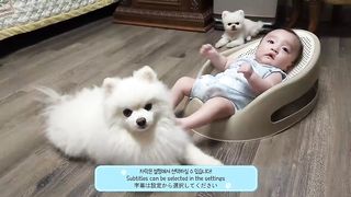The amazing reaction of dogs when they first saw the baby!  Comforting a crying child