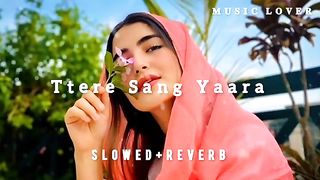 Music Lovers __Tere_Sang__Yaara_____Slowed_Reverb__Atif_Aslam____music_lover(360p).