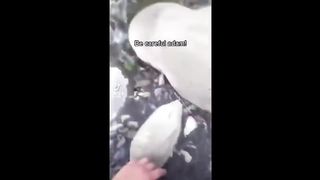Random Memes Compilation