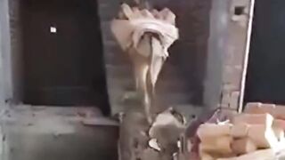 kia demag laraya hai bhai ny waah????????????