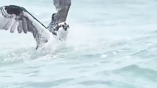 Awesome video ????