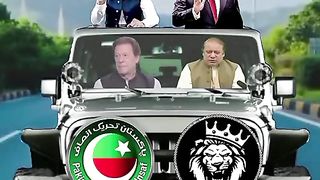 Tiger & bat